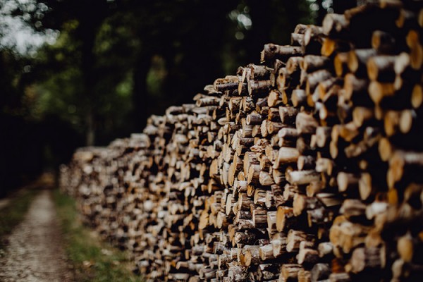 Travaux d'élagage à Fontenay-Trésigny