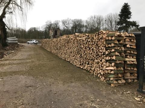 Taille de haie à Fontenay-Trésigny