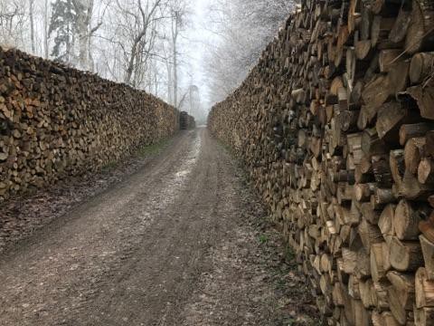 Vente de bois à Fontenay-Trésigny